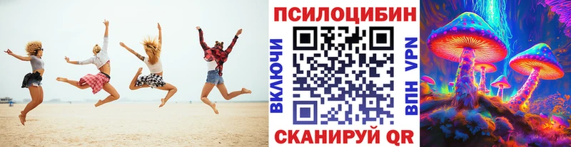 Купить закладки  Нововоронеж  Псилоцибиновые грибы Psilocybine cubensis 